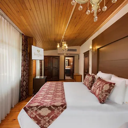 Seven Hills Boutique 3* 이스탄불